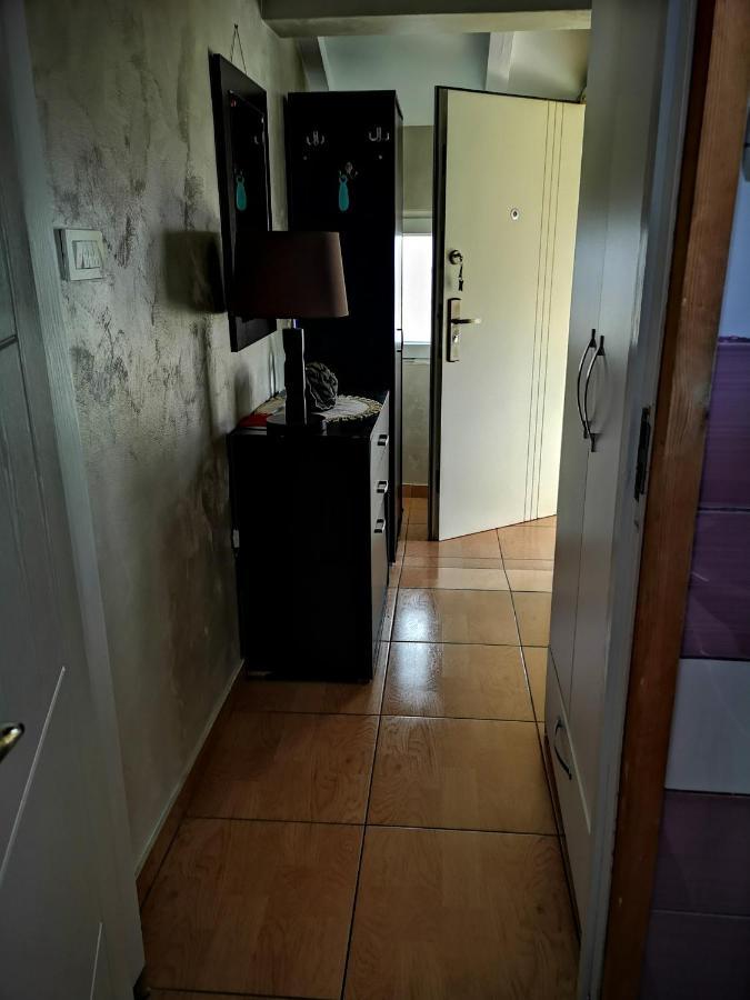 Apartman Sunny Apartment Cetinje Luaran gambar