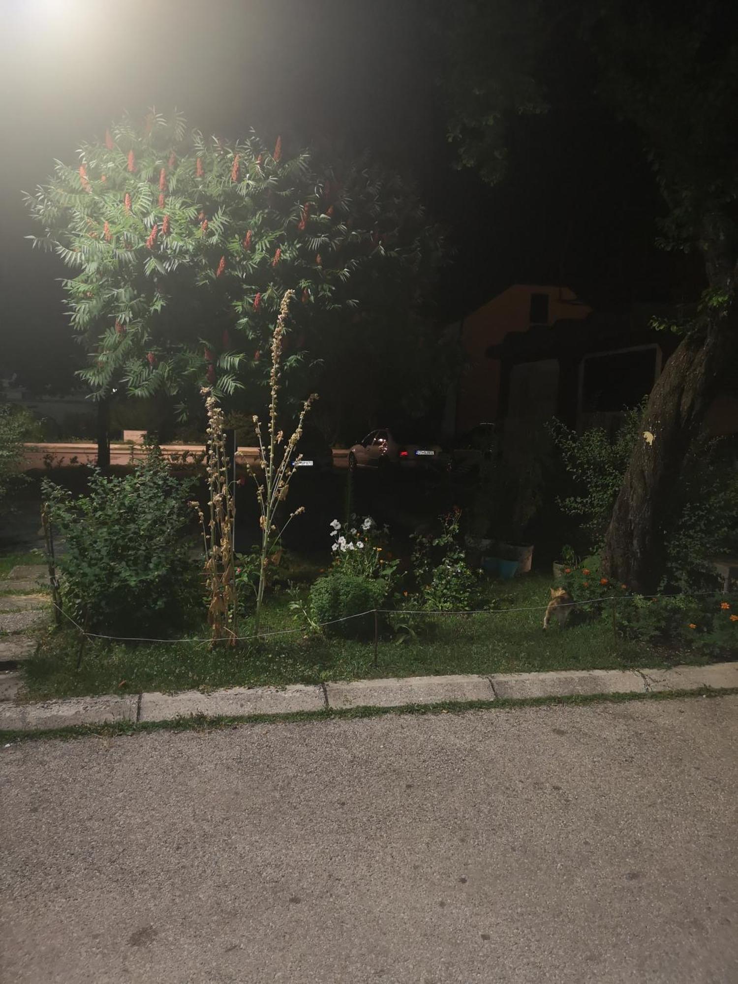 Apartman Sunny Apartment Cetinje Luaran gambar