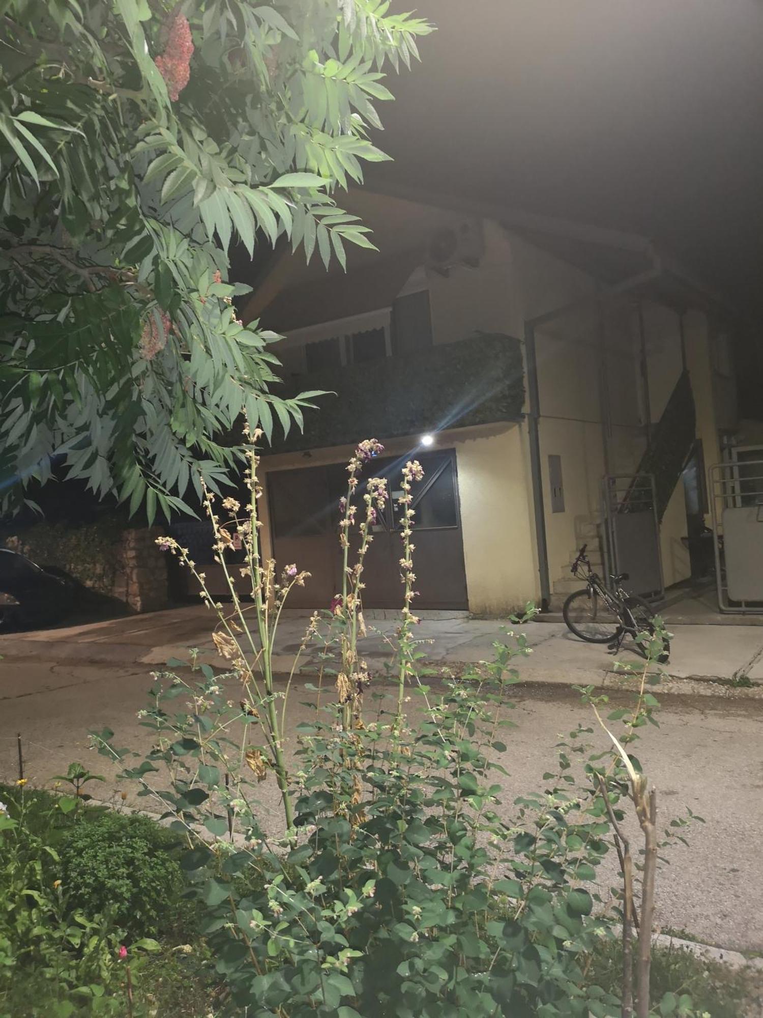 Apartman Sunny Apartment Cetinje Luaran gambar